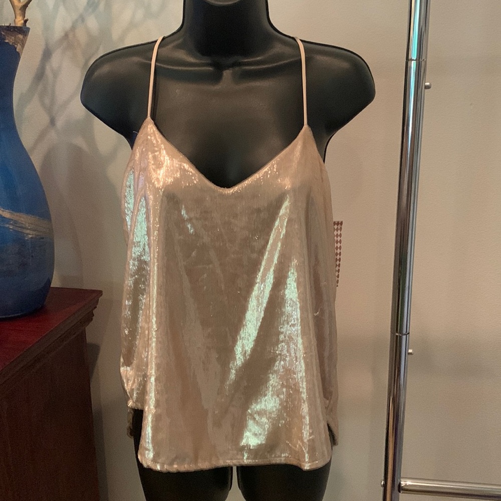 Metallic champagne tank